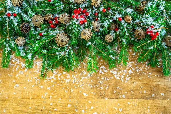 Kerst sparren takken met kegels en bessen — Stockfoto