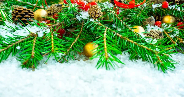 Kompozycja świąteczna z gałązkami jodły, szyszki, jagody — Zdjęcie stockowe