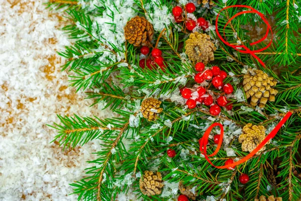 Kerst compositie met sparren takken, kegels, bessen — Stockfoto