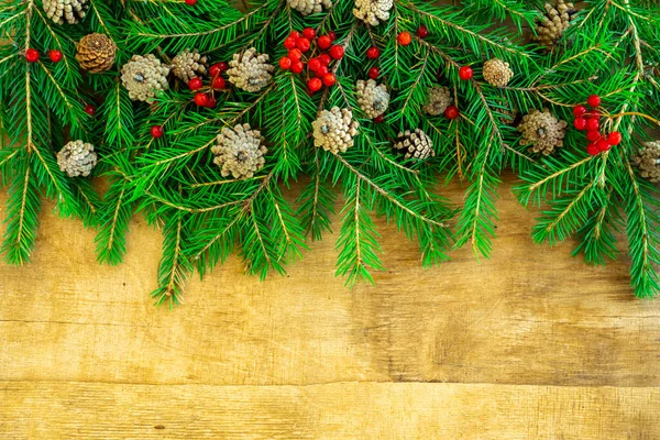 Kerst sparren takken met kegels en bessen — Stockfoto