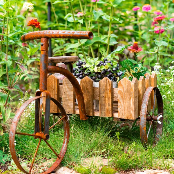 Support de fleurs en forme de vélo sur un lit de fleurs dans le jardin. — Photo