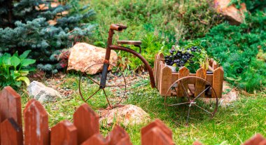Bisiklet şeklinde çiçek standı Bahçedeki bir çiçek tarhında.