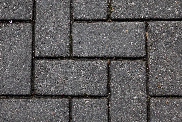 paving laid in geometric pattern