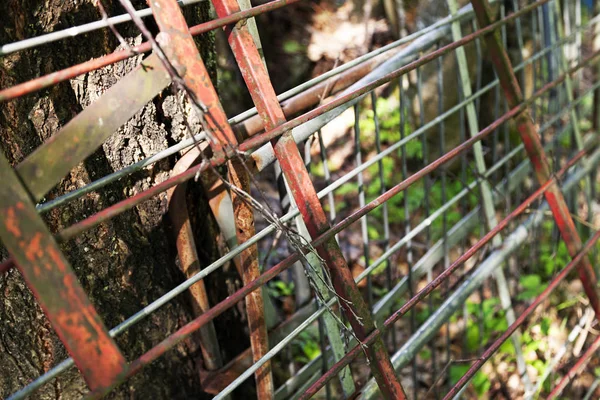 格栅，栅栏和钢管靠在格鲁的一棵树上 — 图库照片