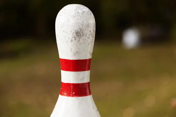 Bovenste deel van een kegel met wazig groene achtergrond — Stockfoto