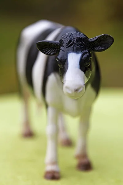 Plastikowa krowa, zabawka stojąca na stole z zieloną ściereczką — Zdjęcie stockowe