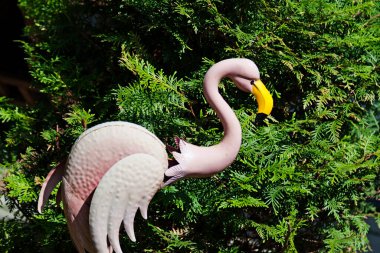 Bahçede pembe plastik flamongo