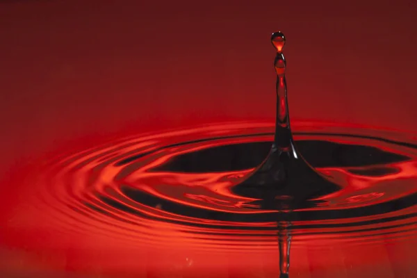 bir makro su damlası