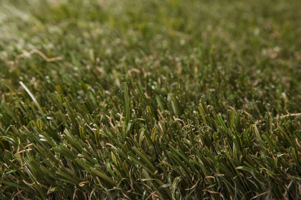 Yapay çim yüksek kaliteli yakın çekim