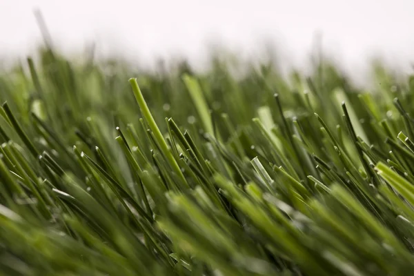 Yapay çim yüksek kaliteli yakın çekim