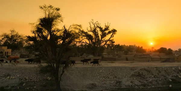 Bela imagem da paisagem do pôr do sol sobre uma aldeia — Fotografia de Stock