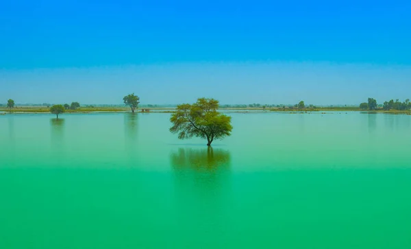 푸른 하늘 배경과 푸른 물 호수에있는 나무 — 스톡 사진