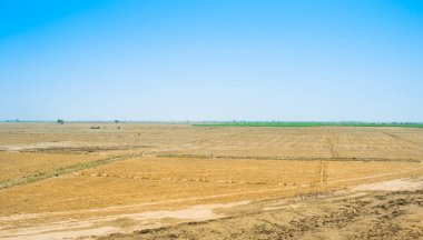 rahim yar han hasat tan sonra buğday tarlası görünümü,pakistan.