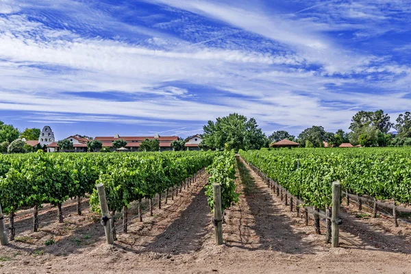 Nieuwe Wijngaarden Wijnhuizen Schilderachtige Heuvels Van California Central Coast Waar — Stockfoto