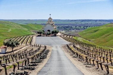 A Tuscan style chapel, located in the Central Coast wine area of California. In the background is blue sky, white clouds, green rolling hills, California wildflowers, and newly budding vines. clipart