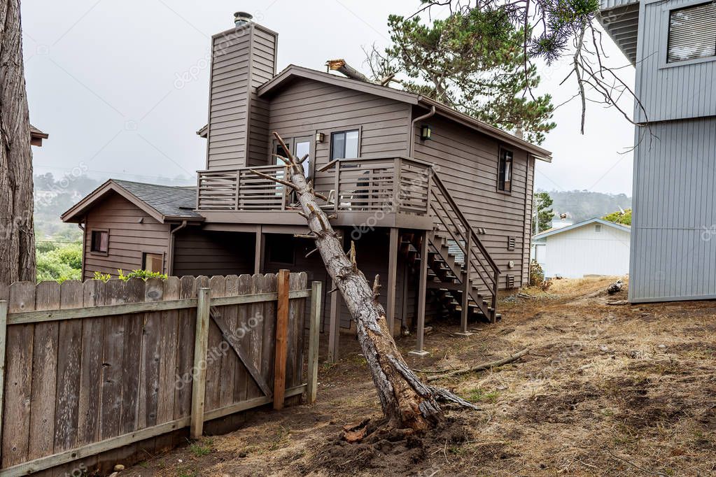 Drought and gravity causes a dead pot pine tree to fall on this seaside house and causes severe major damage to the structure, on the Big Sur coastline, California Central Coast, near Cambria, CA.