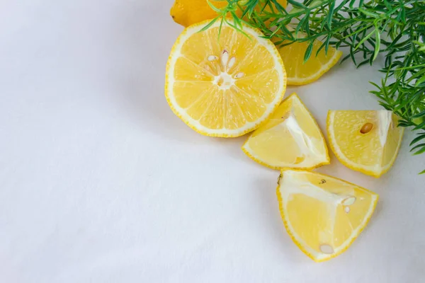 Lemon slices on a white background with a green sprig