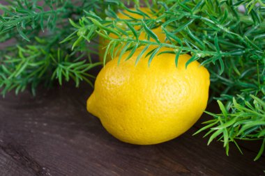 Limon koyu ahşap arka plan ve yeşil yaprakları ile sprigs