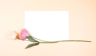 Narin pembe doku üzerinde güzel çiçekler, bir buket üzerinde kurdele. eustoma. tatil tasarımınız için arka plan