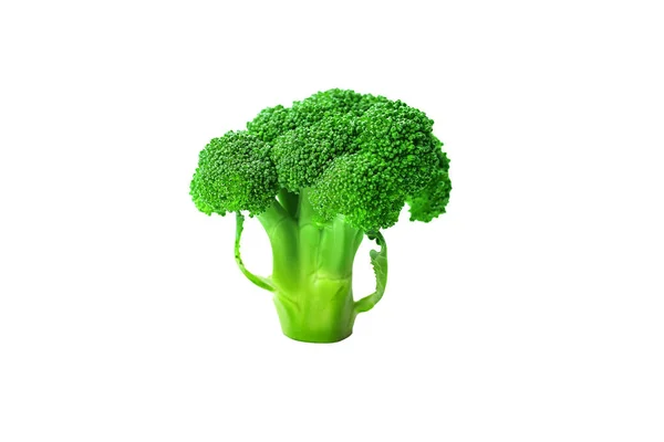 Broccoli aparte geïsoleerde witte achtergrond als pakket ontwerp element. — Stockfoto