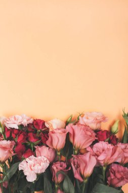 Beyaz arka planda taze güzel eustoma