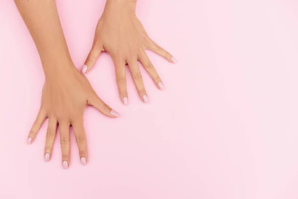 Tender hands with perfect blue and pink manicure on trendy pastel pink background. Place for text