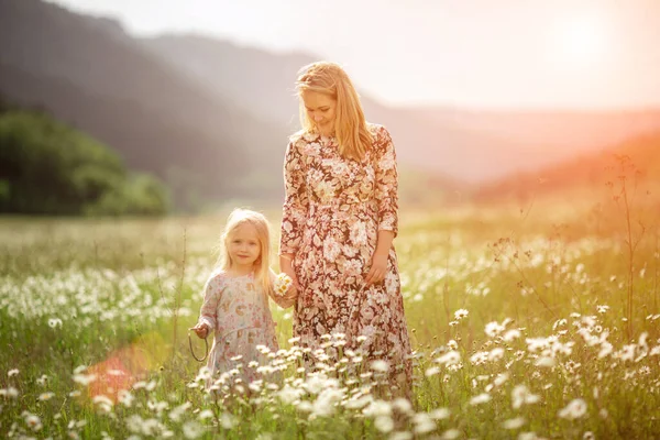 Beautiful young mother with her daughter on a field with daisies sunset sun, life style, concept of motherhood, walk in the park or in nature — Stock Photo, Image