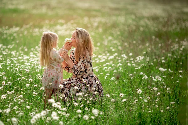 Bela jovem mãe com sua filha em um campo com margaridas pôr do sol, estilo de vida, conceito de maternidade, andar no parque ou na natureza — Fotografia de Stock