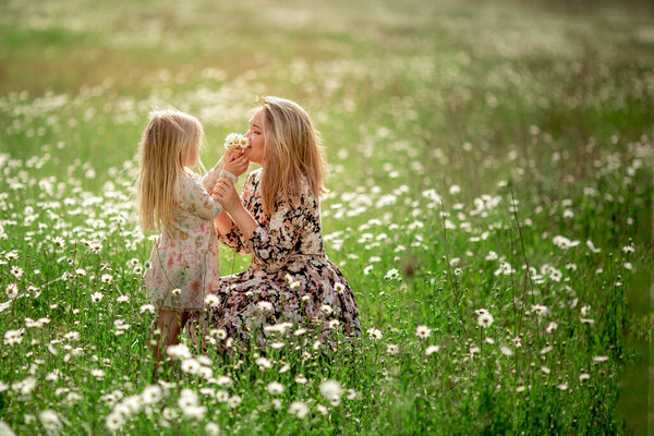 Beautiful young mother with her daughter on a field with daisies sunset sun, life style, concept of motherhood, walk in the park or in nature.