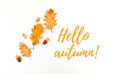 Beyaz arka planda sonbahar yaprakları, meyveler ve böğürtlenler, merhaba sonbahar, metin için yeri olan tasarım düzeni