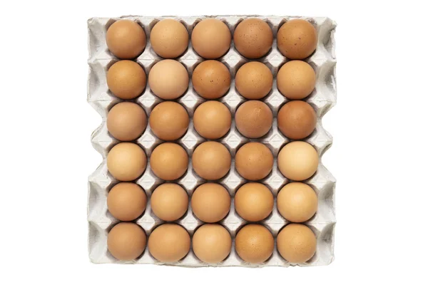 白色背景下灰色纸盒中鸡卵的顶部视图 — 图库照片
