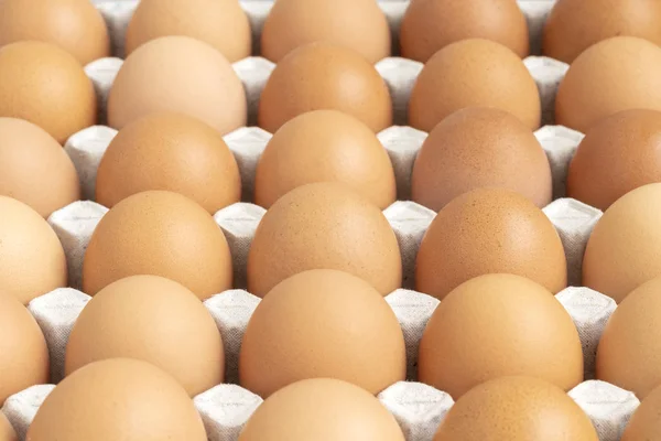 Row Chicken Eggs Gray Paper Tray — Stock Photo, Image