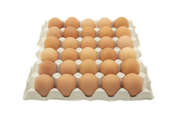Row Chicken Eggs Gray Paper Tray Isolated White Background — Stock Photo, Image