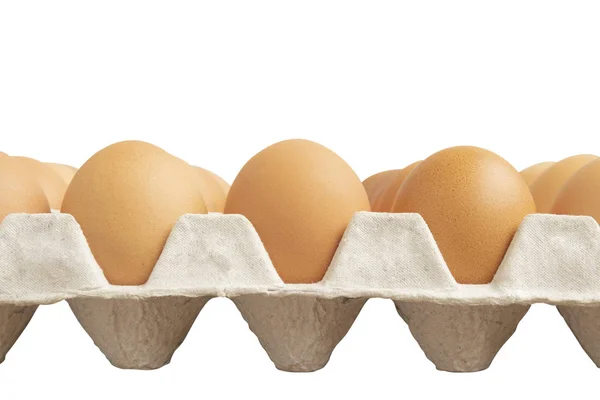 Row Chicken Eggs Gray Paper Tray Isolated White Background — Stock Photo, Image