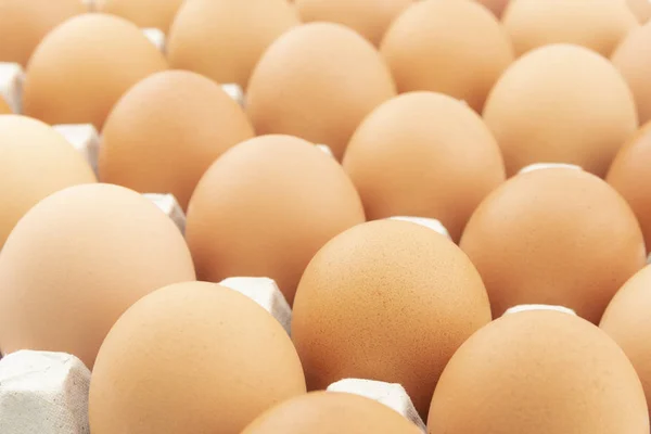 Row Chicken Eggs Gray Paper Tray — Stock Photo, Image