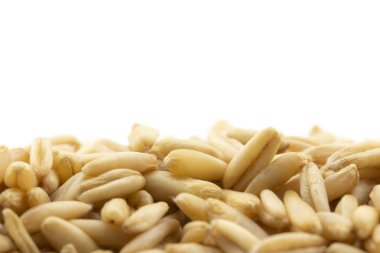 Beyaz arka plan üzerinde kahverengi yulaf tahıl yakın çekim