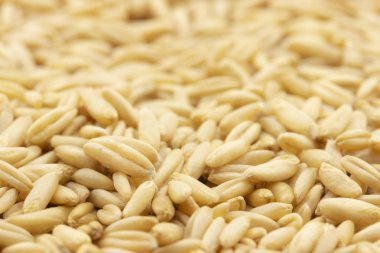 arka plan için kahverengi yulaf tahıl yakın çekim