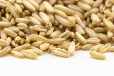 Beyaz arka plan üzerinde kahverengi yulaf tahıl yakın çekim