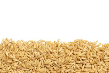 beyaz bir arka plan üzerinde izole yulaf tahıl satır