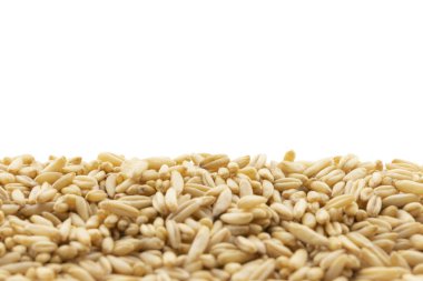 kahverengi yulaf tahıl izole beyaz zemin üzerine yığını