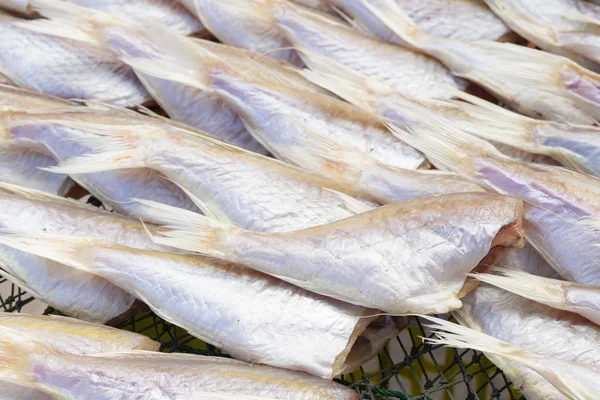 Pila Pescado Seco Aleta Roscada Ornamentado Mercado — Foto de Stock