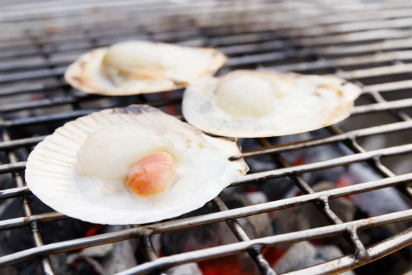 Klönen Von Gegrillter Jakobsmuschel Auf Holzkohleherd — Stockfoto