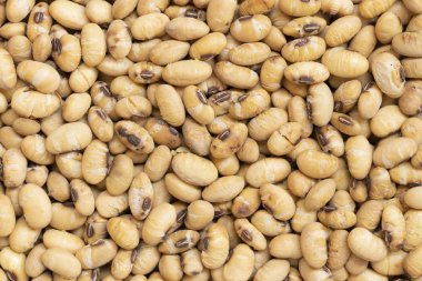 arka plan için kavrulmuş soya fasulyesi üstten görünüm