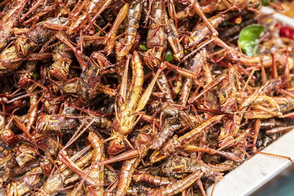 Haufen Gebratener Bombay Heuschrecken Thailändisches Essen — Stockfoto