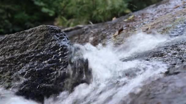 Close Turbulent Water Flowing Rocks — Stock Video