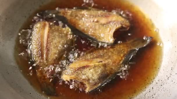 Fried Snake Skin Gourami Fish Wok Thai Food — Stock Video
