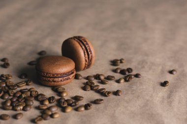 Kahve çekirdekli çikolata ve kahve Fransız makarnaları. Yakın çekim