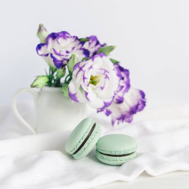 Beyaz bir arka plan üzerinde bir kavanozda iki pastel Fransız makarna ve çiçek. 