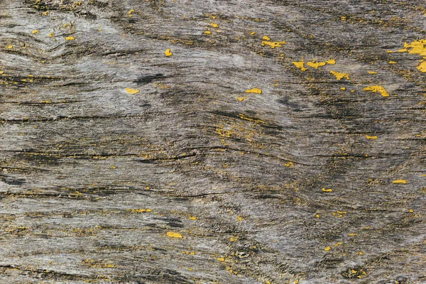 Texture ou fond en bois rustique avec peinture jaune . — Photo