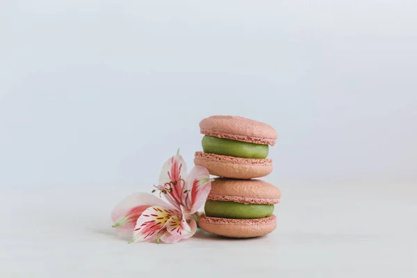 Twee lekkere Franse macarons met roze bloem op een witte achtergrond. — Stockfoto